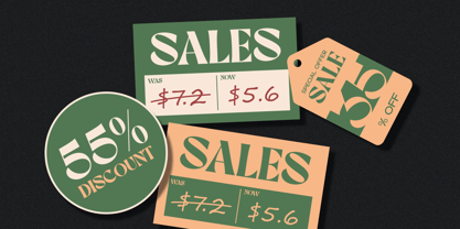 Dilley Helia Font Poster 5