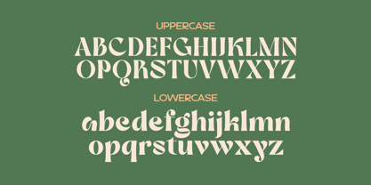 Dilley Helia Font Poster 4