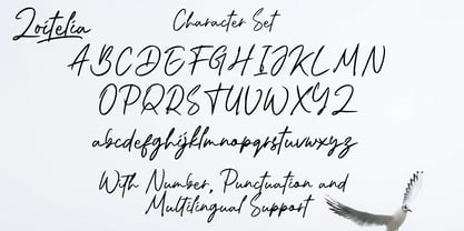 Zoitelia Font Poster 10