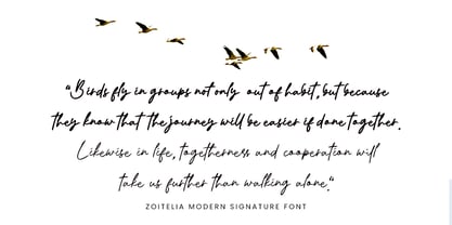Zoitelia Font Poster 4