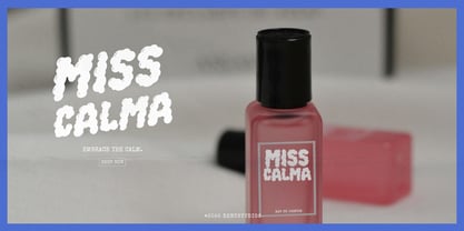 Fabilo Soap Font Poster 7