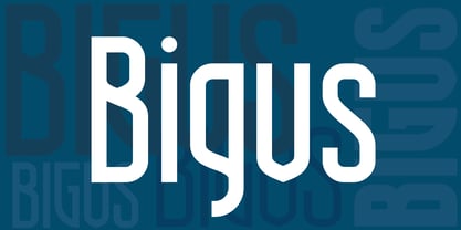Bigus Font Poster 2