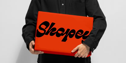 Metzel Script Font Poster 9