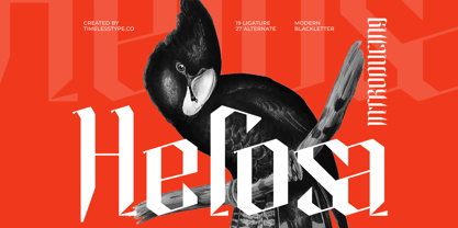Helosa Font Poster 1