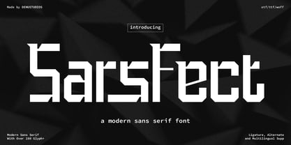Sars Fect Font Poster 1