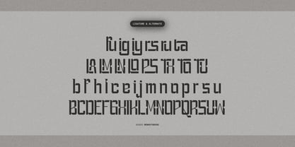 Sars Fect Font Poster 12