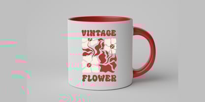 Retro Baiky Font Poster 6