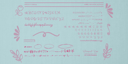 Whimsical Rose Font Poster 3