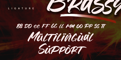 Brassy Font Poster 11