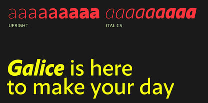 Galice Variable Font Poster 8