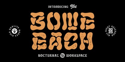 Bone Each Font Poster 1