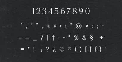 Biconvex Font Poster 7