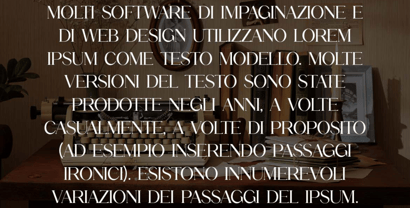 Biconvex Font Poster 4