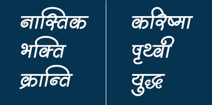 Shree Devanagari 2303 Font Poster 5