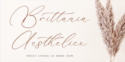 Madyntha Geradine Font Poster 5