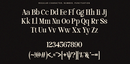 Delutiya Font Poster 11