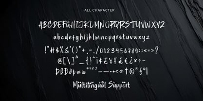 Rough Punch Font Poster 9