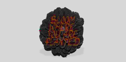 Gothy Black Font Poster 8