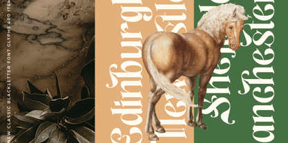 Aleronk Font Poster 7