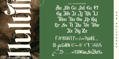 Aleronk Font Poster 14