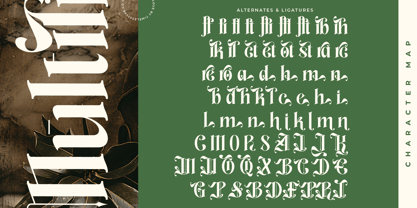 Aleronk Font Poster 15