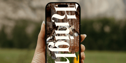 Aleronk Font Poster 4