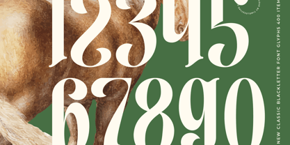 Aleronk Font Poster 13