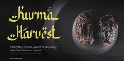 Al Laylie Font Poster 2