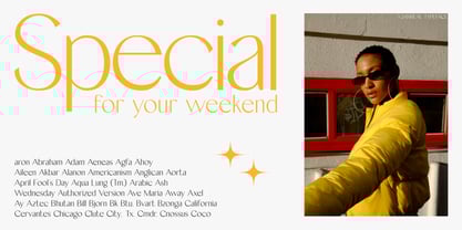 Ganreal Font Poster 5