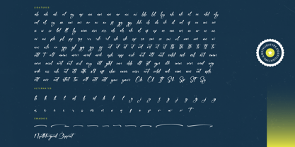 Habitual Detective Font Poster 15