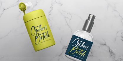 Habitual Detective Font Poster 12