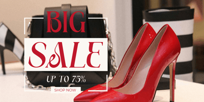 Bellavie Font Poster 14