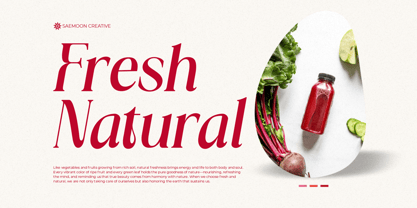 Bellavie Font Poster 6