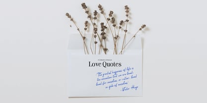 Gourmet Font Poster 7