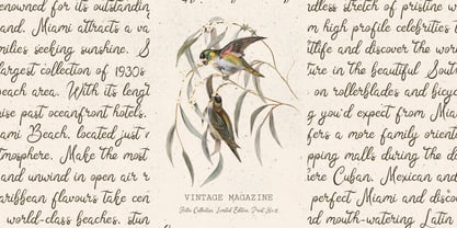 Sunday Dreams Font Poster 3