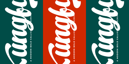 Kungfu Flame Font Poster 6