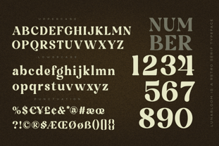 Luna Bloom Font Poster 7