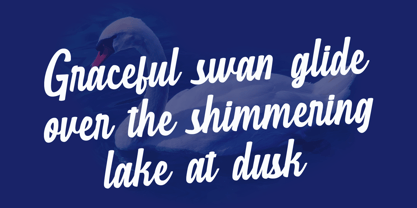 MN Havenhill Font Poster 3