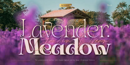 Mowgle Font Poster 10