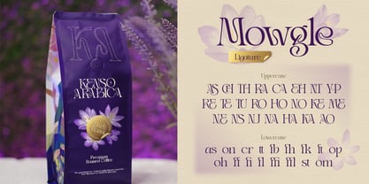 Mowgle Font Poster 4