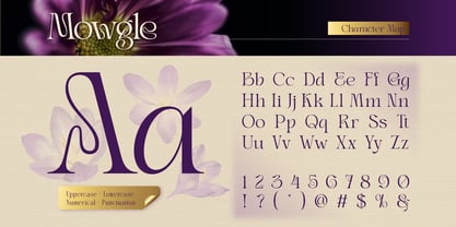Mowgle Font Poster 2