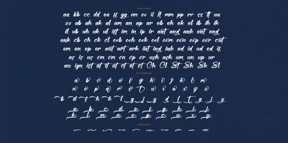 Hunter Shark Font Poster 15