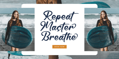 Hunter Shark Font Poster 12