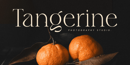 Parode Font Poster 3