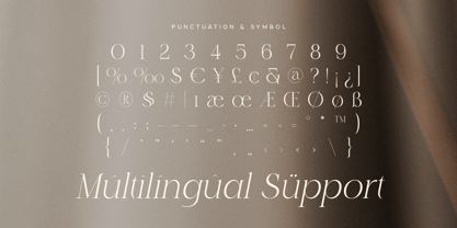 Parode Font Poster 11