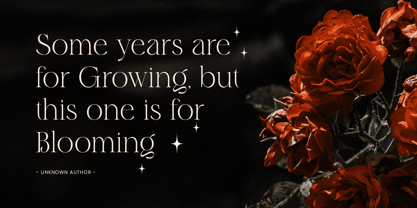 Parode Font Poster 8