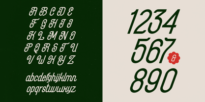 Maxplein Font Poster 14