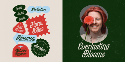 Maxplein Font Poster 3