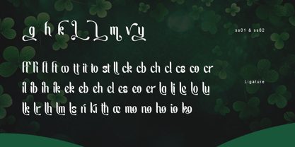 Fortunish Font Poster 11