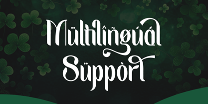 Fortunish Font Poster 12